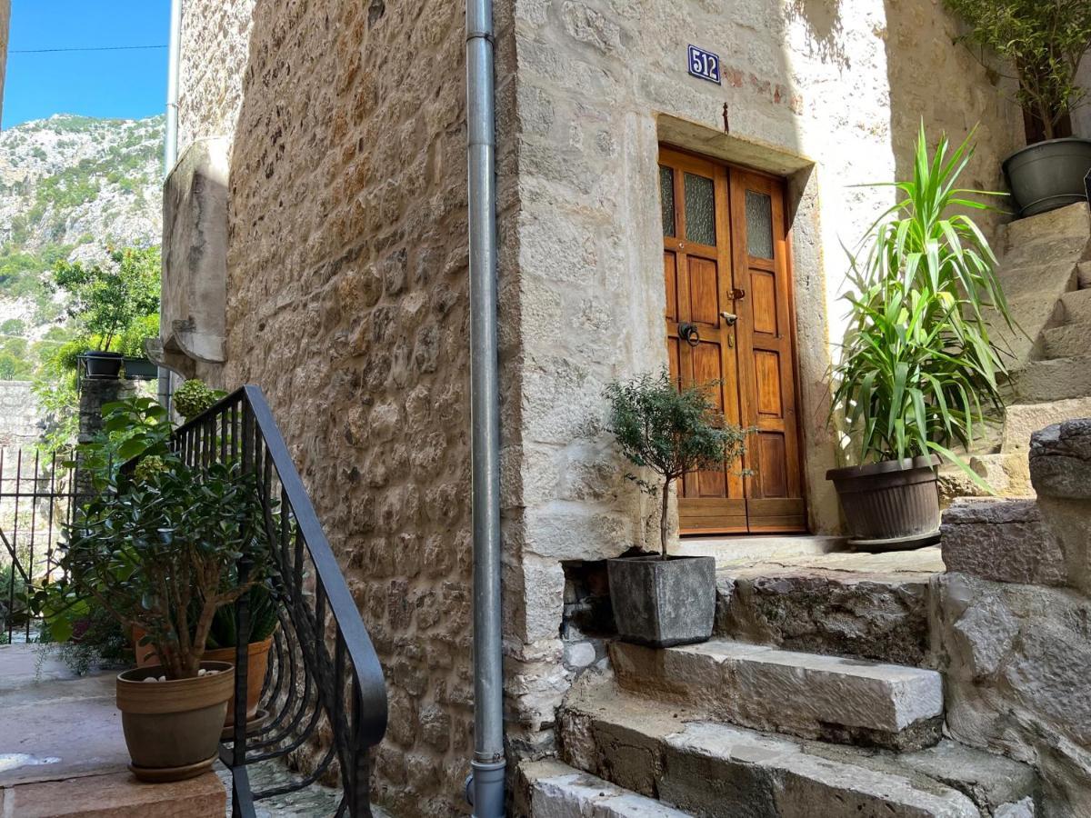 Healthystudio512 Apartments Kotor Kültér fotó