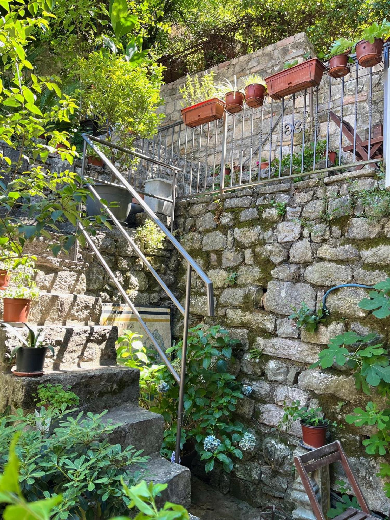 Healthystudio512 Apartments Kotor Kültér fotó